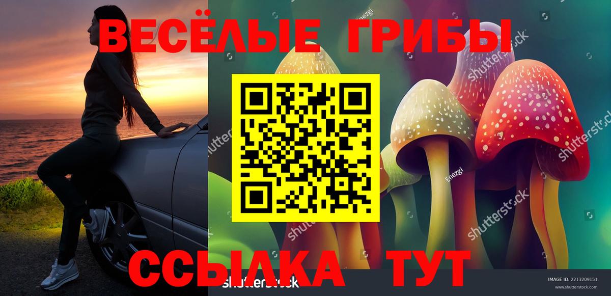 Псилоцибиновые грибы Cubensis  Галлюциногенные грибы MAGIC MUSHROOMS  Невинномысск  Вход с VPN 